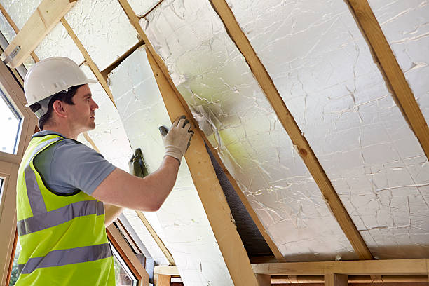 Best Geographic-Specific Insulation Services in Archer, FL