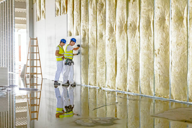 Best DIY Insulation Kits and Guidance in Archer, FL